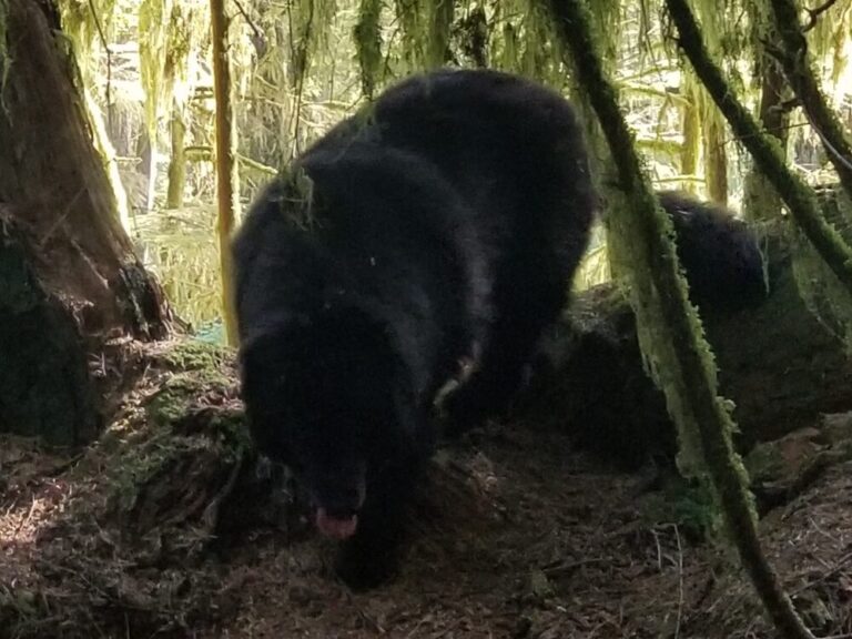 Осознанность